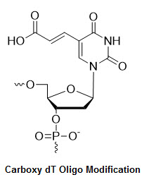 Bio-Synthesis Inc. Oligo Structure